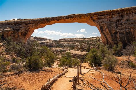 Natural Bridges National Monument | Canyon, Arches, Hiking | Britannica
