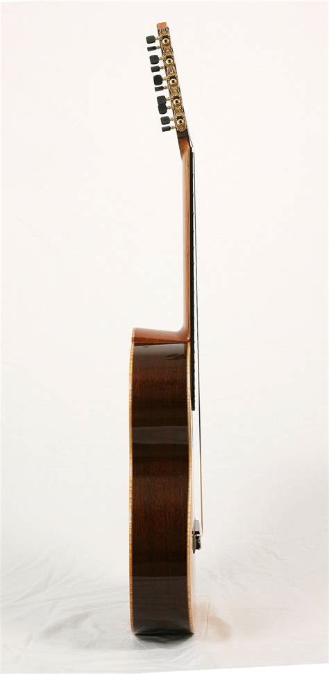 Image result for Ten-String Guitar