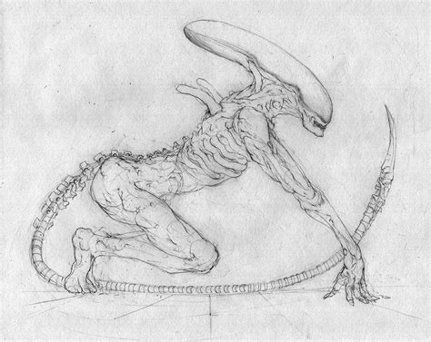 Xenomorph Drawing Tutorial 的图像结果