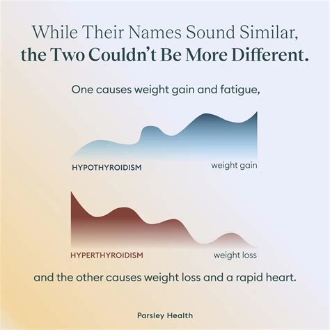 Hypothyroidism vs Hyperthyroidism: Symptoms and Differences
