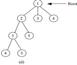Backtracking Algorithm Strategy 的图像结果