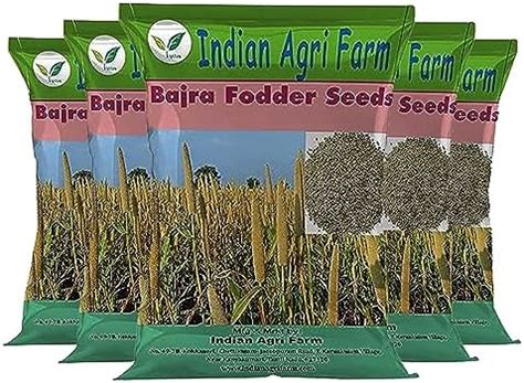 PURE AGROVET ENTERPRISES Berseem/Egyptian clover (Trifolium ...