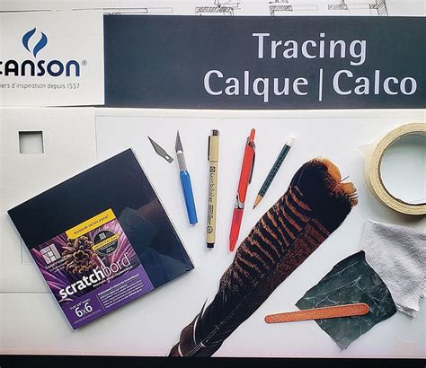 Image result for Scratchboard Examples