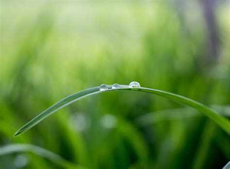 About us | BioConcepts