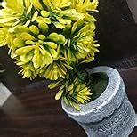 PolliNation Artificial Bonsai with Resin Pot for Home, Office, Indoor ...