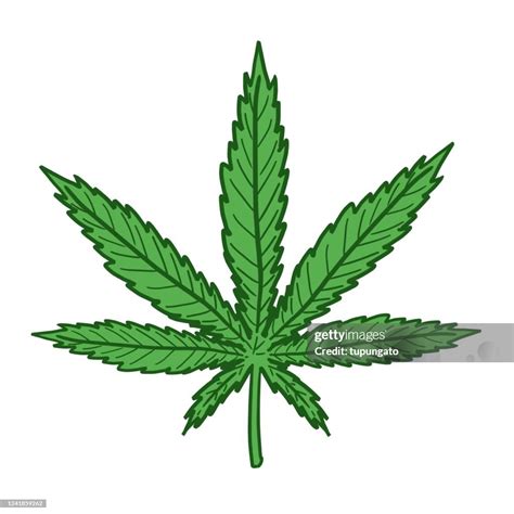 Marijuana Leaf Drawing High-Res Vector Graphic - Getty Images