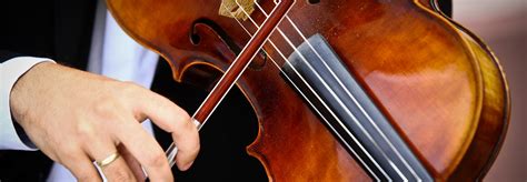 Image result for Viola Tutorial