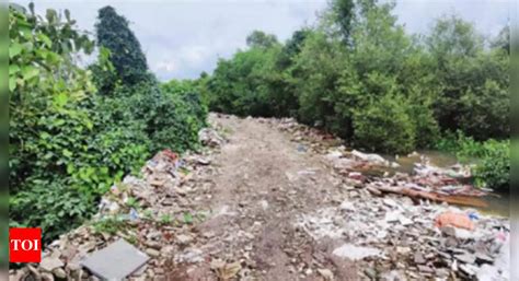 Bombay HC has banned hacking of mangroves, but forest dept needs power ...