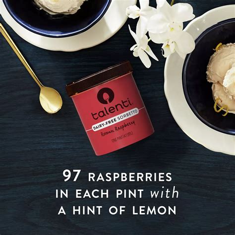 Talenti Roman Raspberry Dairy-Free Sorbetto - Shop Sorbet at H-E-B