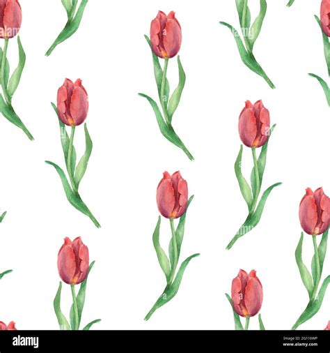 Image result for Pattern for Tulip