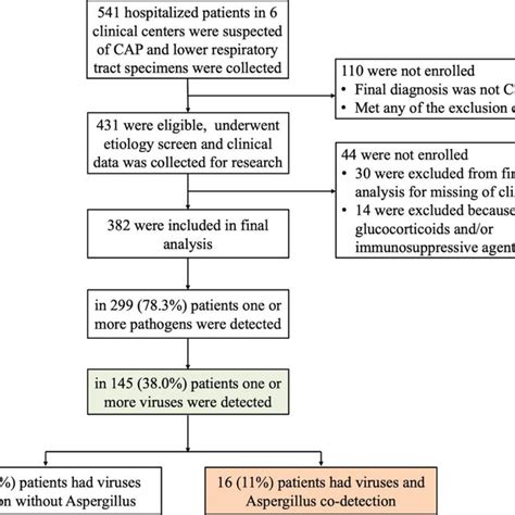 Pneumonia Algorithm 的图像结果