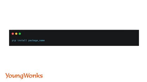 Python Library Installation 的图像结果