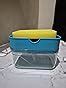 Vasukie 2-in-1 Soap Dispenser for Kitchen and Sponge Holder Dish Soap ...