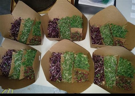 Crystal Cottage Crafts and Conservation