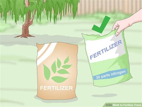 Image result for How Do You Fertilize a Tree
