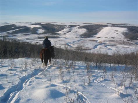 Image result for ranching