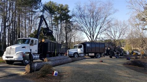 Image result for Alpharetta Tree Service