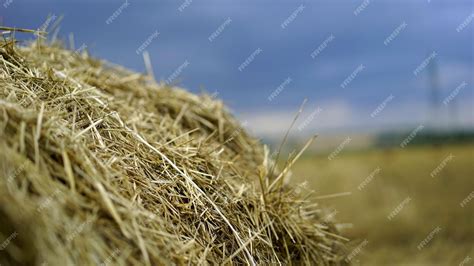 Haystack 的图像结果