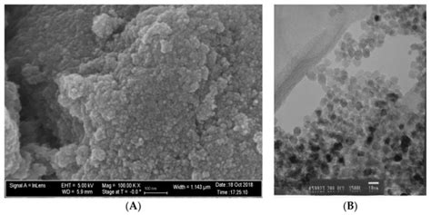 Characterization of Experimental Nanoparticulated Dental Adhesive ...