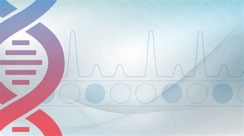 Image result for Bio PCR