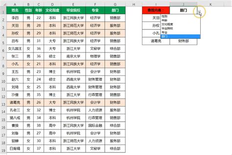 Filter Command in Excel 的图像结果