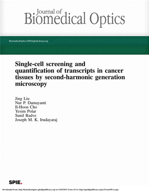 11th Harmonic Cancer 的图像结果