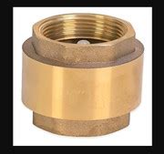 RBI Vertical Check Valve – NRV - Forged Brass Body with Stainless Steel ...