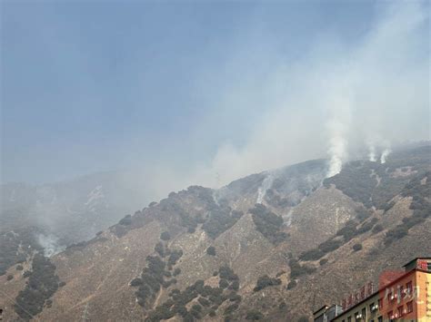 山火侵袭“松茸之乡”雅江：人员安全，但有人失去房屋和生计