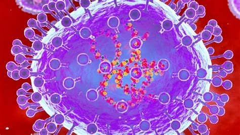 Infant in Ahmedabad hospital tests positive for HMPV; stable