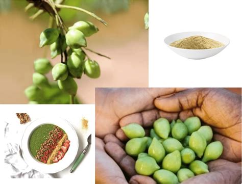 THEAUSTRALIANSUPERFOOD 100% Natural Kakadu Plum Freeze Dried Powder ...