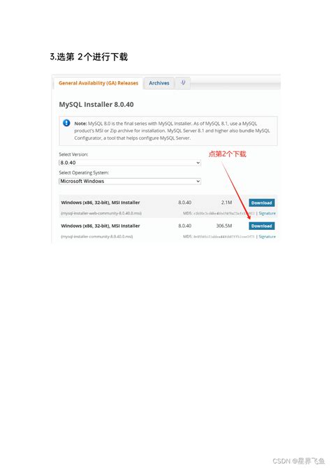 Install MySQL 8 0 42 的图像结果