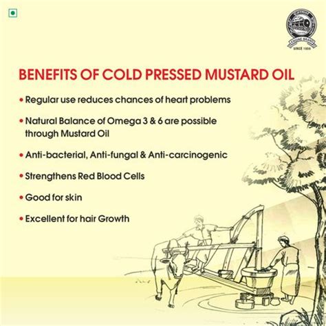 Engine Kachi Ghani Mustard Oil Pouch Price in India - Buy Engine Kachi ...
