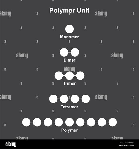 Image result for Polymerization Reaction