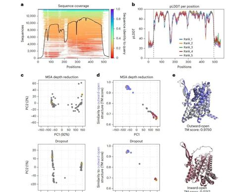 Colofit Algorithm 的图像结果