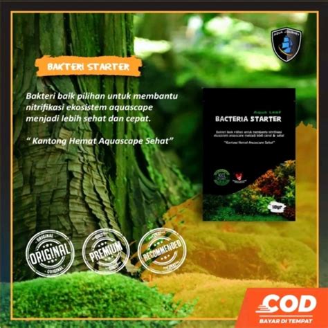 Promo Bakteri Starter Aquascape untuk ekosistem aquascape - Jakarta ...