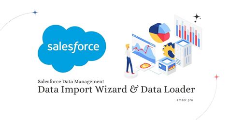 Data Import Wizard Salesforce 的图像结果