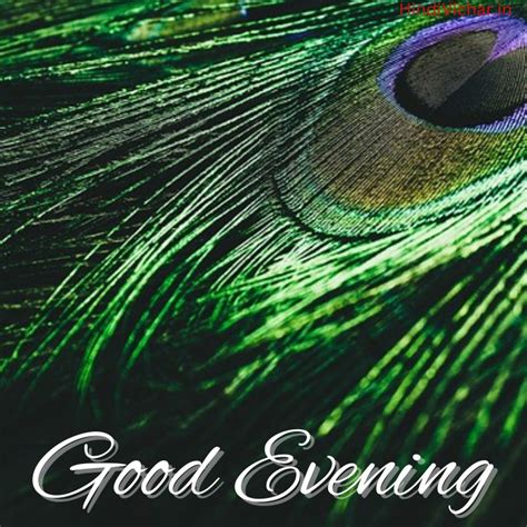 250 + Beautiful Good Evening HD Images with Wishes for Whatsapp