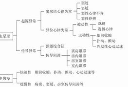 Image result for 心律失常 Dysrhythmias