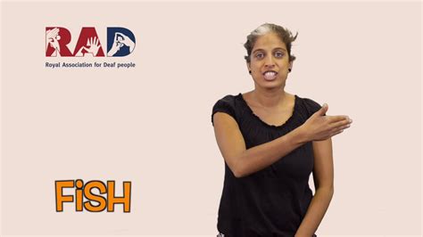 Image result for Sign Language Fish