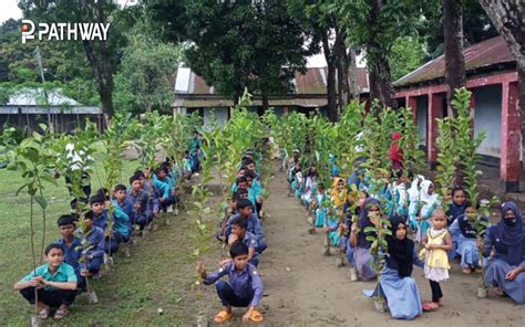 Protect Earth 的图像结果