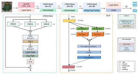 A CNNA-Based Lightweight Multi-Scale Tomato Pest and Disease ...