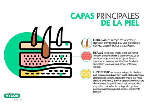 El cuidado de la piel del recién nacido: lesiones y manejo