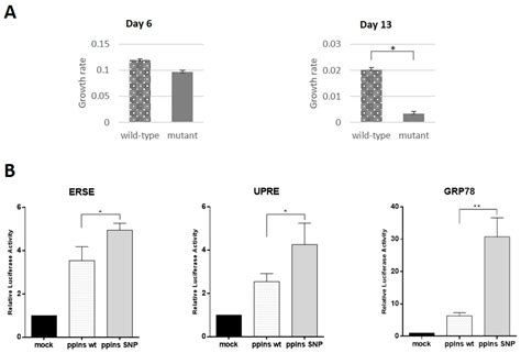 Aberrant Splicing of INS Impairs Beta-Cell Differentiation and ...