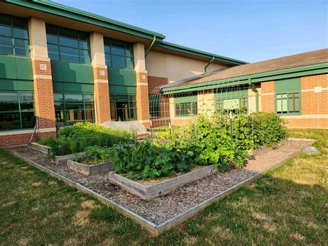 School Gardens – Westfield Green Together