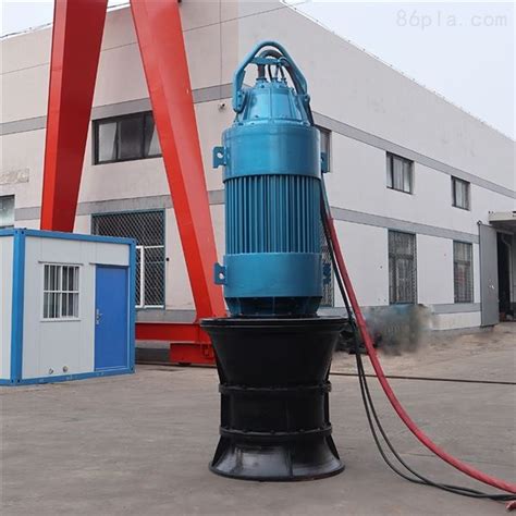 发货照片-浮筒泵潜水轴流泵一用一备 电气安装-德能泵业（天津）有限公司