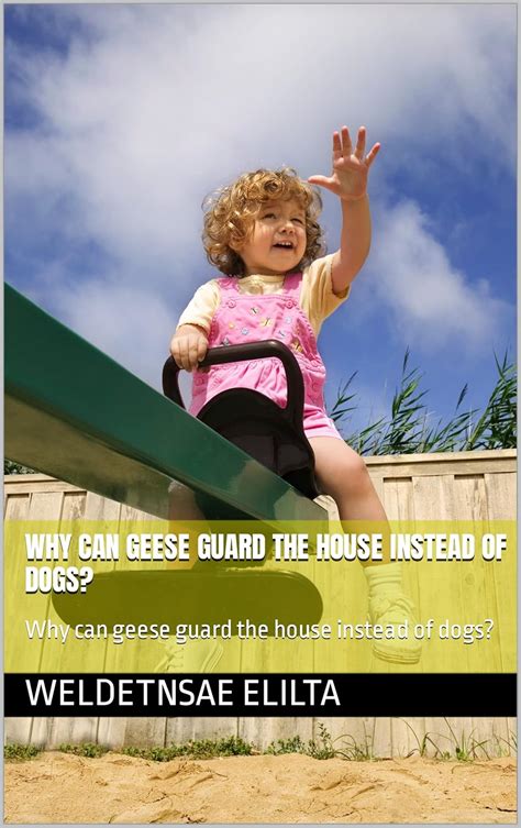 Why can geese guard the house instead of dogs?: Why can geese guard the ...