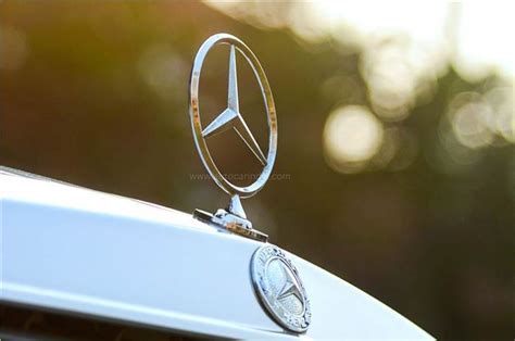 2024 Mercedes-Benz Classic Car Rally gets bigger and better | Autocar ...