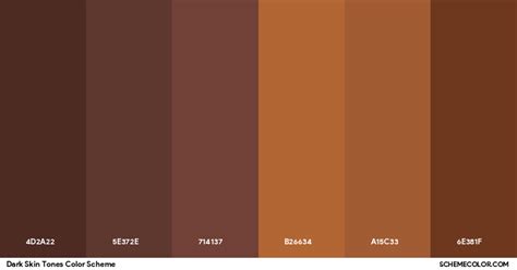 Image result for Skin Color RGB