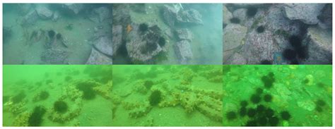 Lightweight Underwater Object Detection Based on YOLO v4 and Multi ...