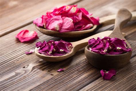 Rose Petals For Hair Care – A Little Love For Your Hair – VedaOils